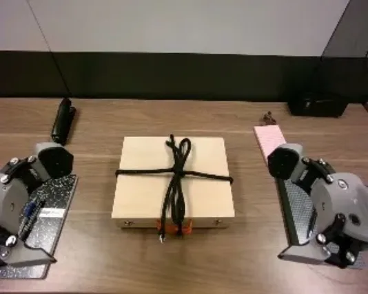 自回归条件机制：动作可以注意到历史的真值视觉上下文