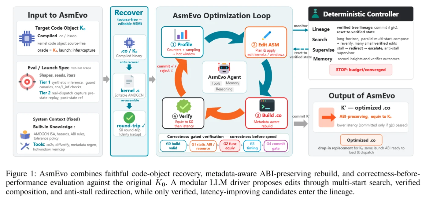AsmEvo 的二进制恢复、汇编演化、验证与确定性控制器