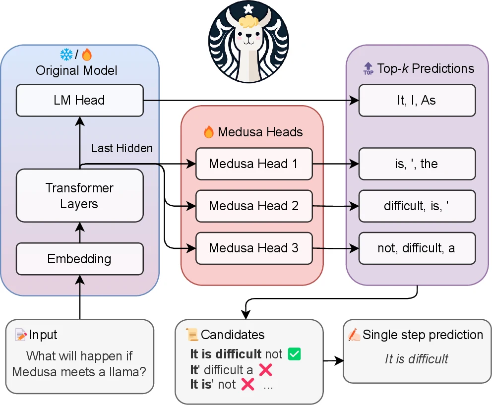 Medusa 从隐藏状态生成多头候选并由目标模型验证
