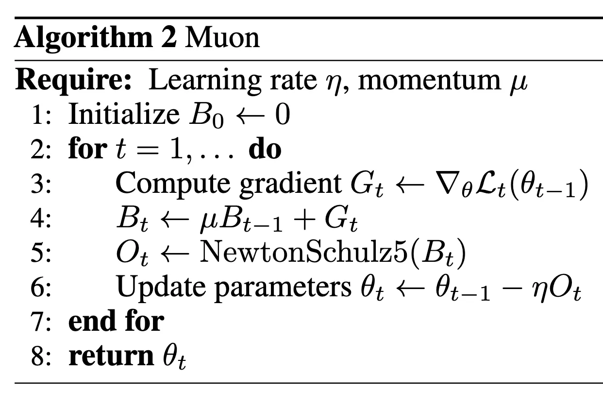 Muon 原始算法:计算梯度、累积动量、对动量矩阵做 NewtonSchulz5 正交化、更新参数