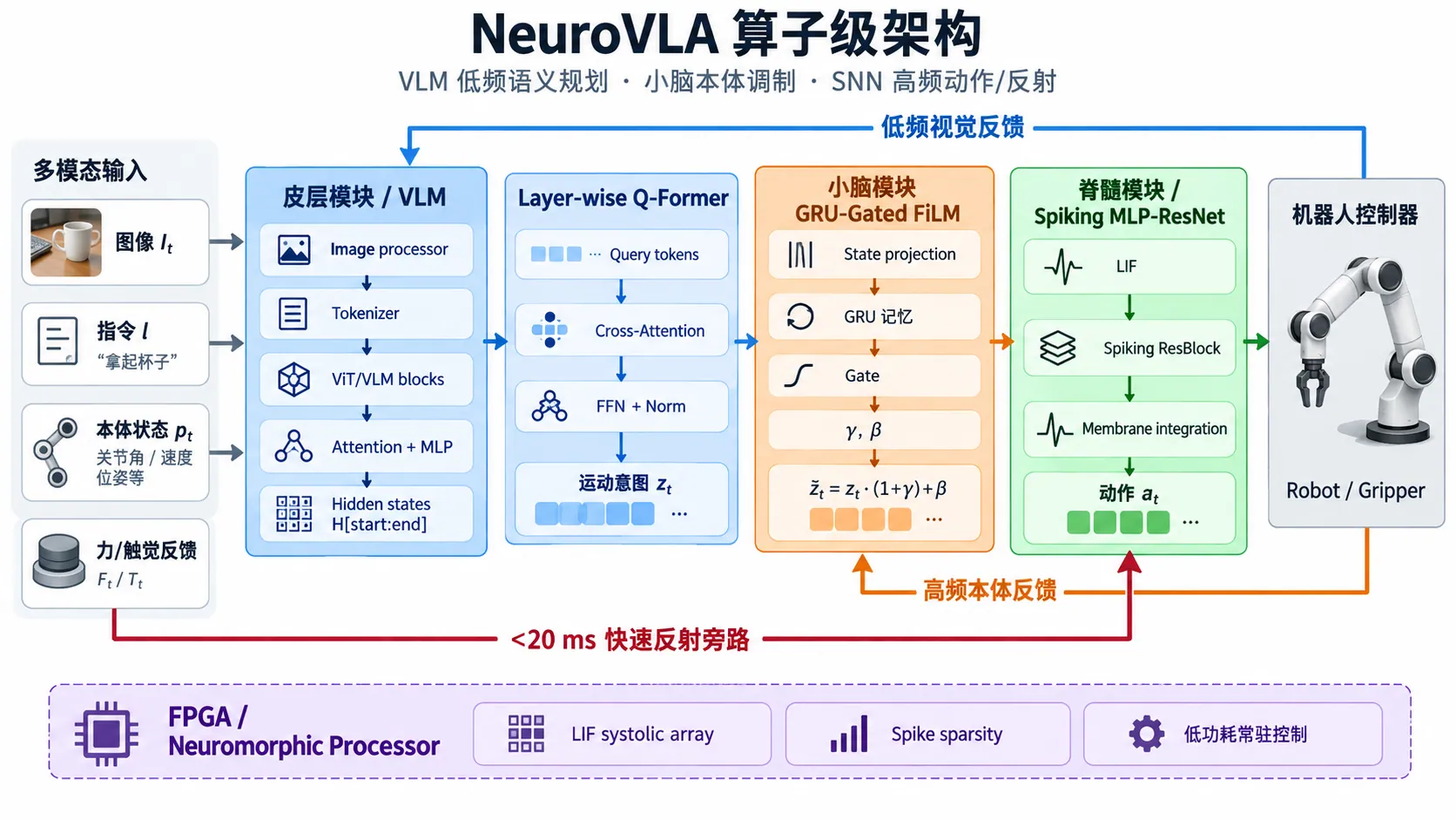 NeuroVLA 算子级架构图:从图像/语言/本体状态输入,到 VLM、Layer-wise Q-Former、GRU-Gated FiLM、小脑调制、Spiking MLP-ResNet 动作头、事件驱动硬件和机器人反馈闭环。